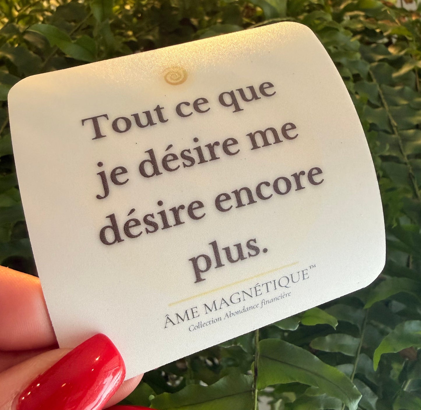 Aimant - "Tout ce que je désire me désire encore plus"