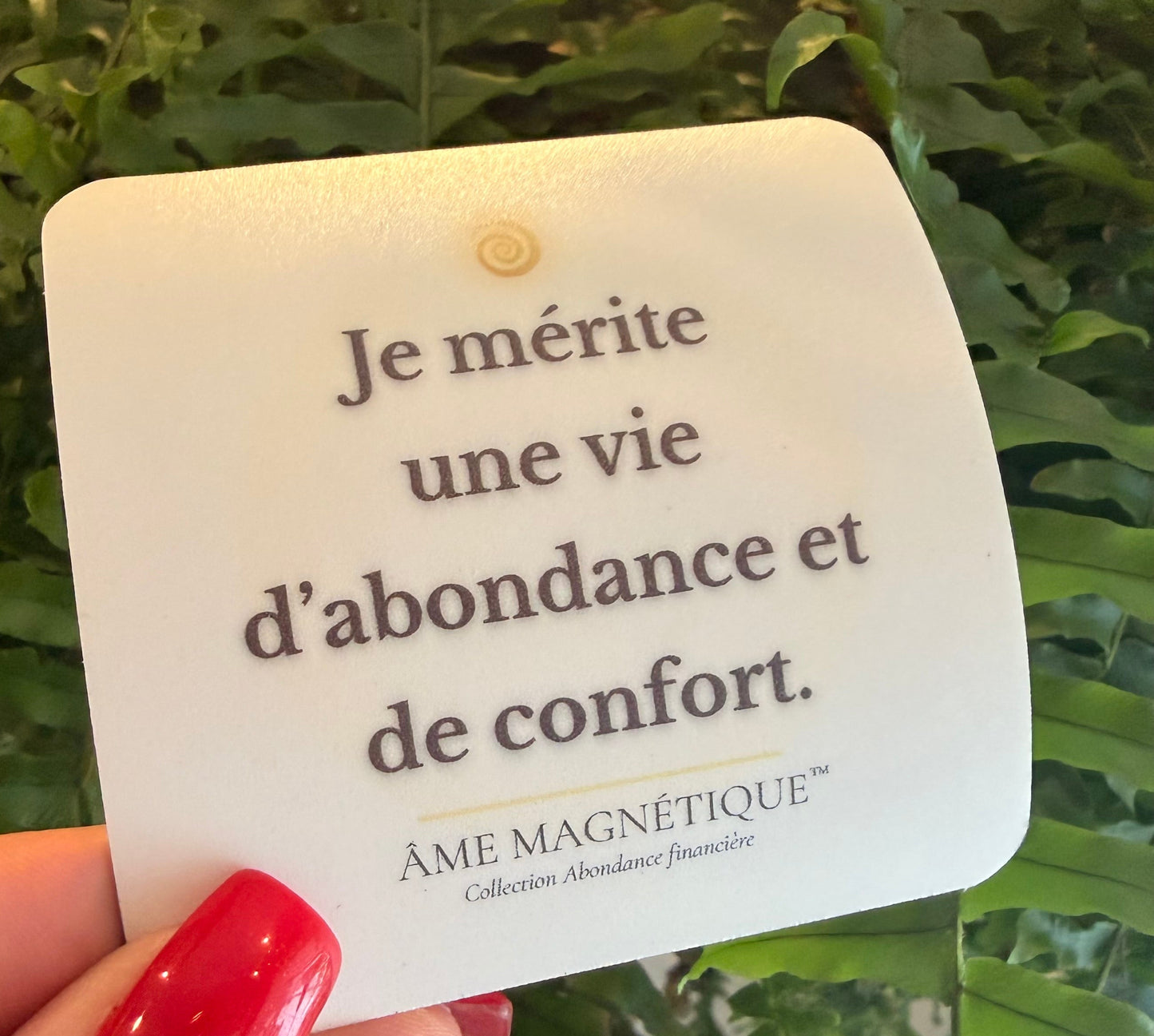 Aimant - "Je mérite une vie d'abondance et de confort"
