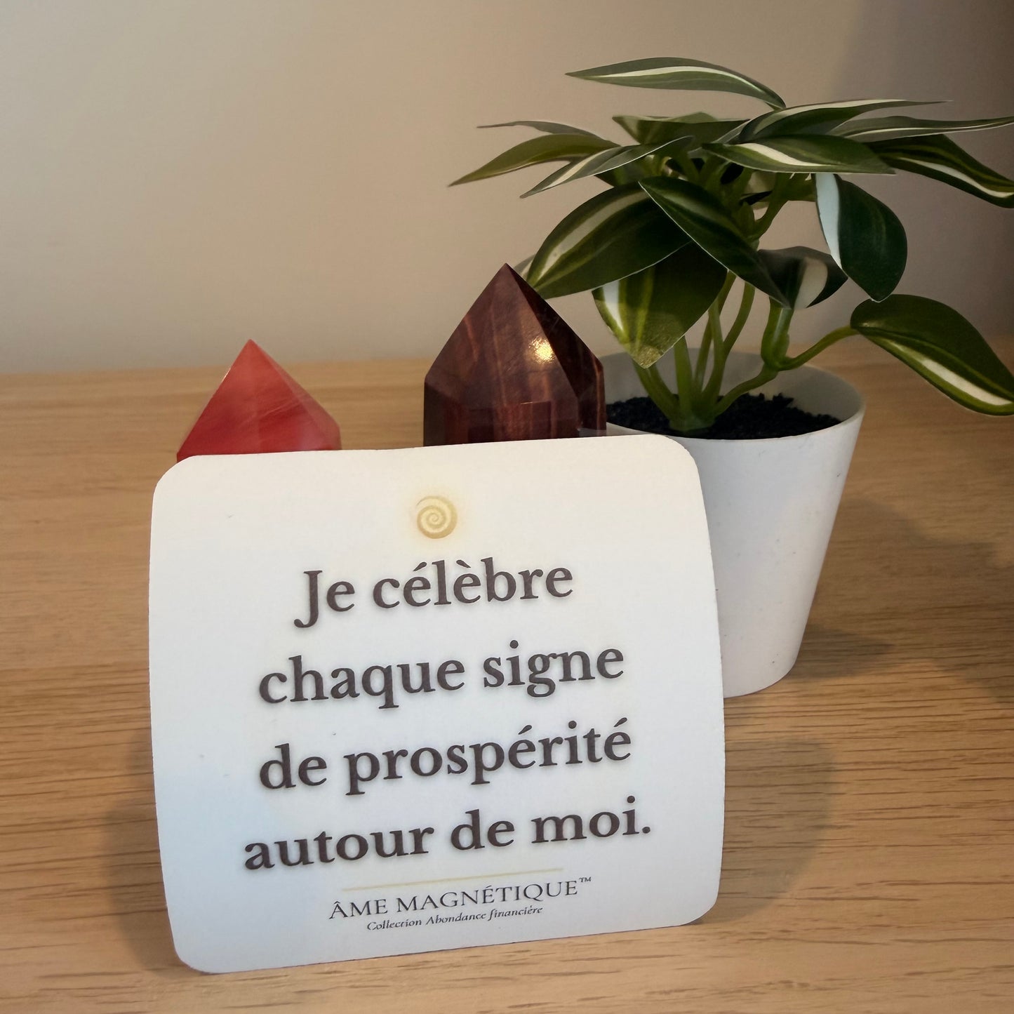 Aimant - "Je célèbre chaque signe de prospérité autour de moi"