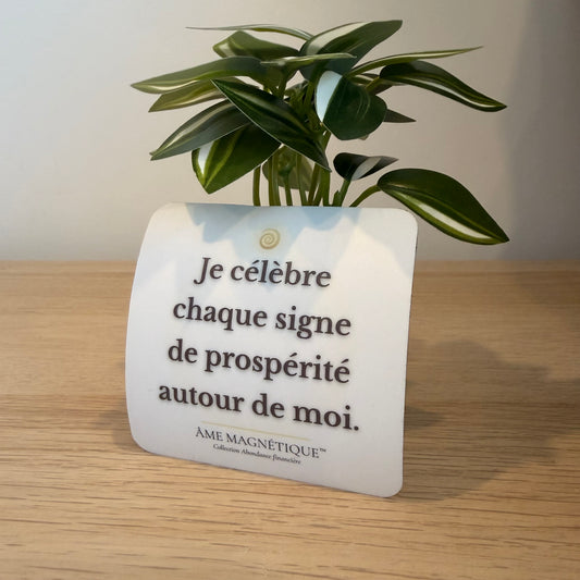 Aimant - "Je célèbre chaque signe de prospérité autour de moi"