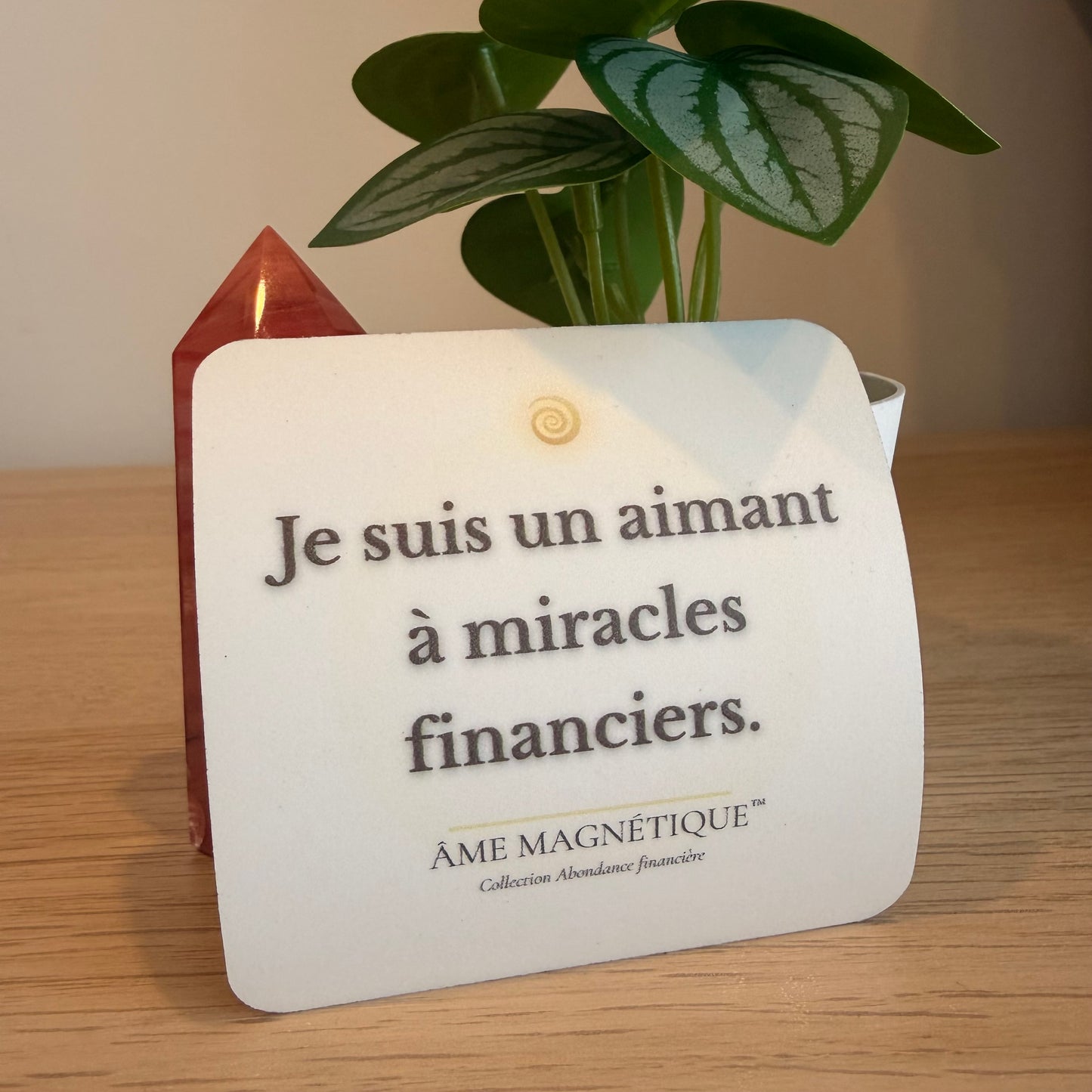 Aimant - "Je suis un aimant à miracles financiers"