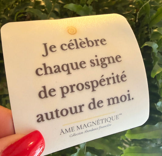 Aimant - "Je célèbre chaque signe de prospérité autour de moi"