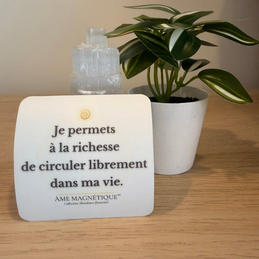Aimant - "Je permets à la richesse de circuler librement dans ma vie"