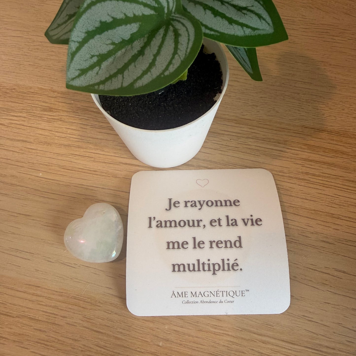 Aimant - "Je rayonne l'amour, et la vie me le rend multiplié"