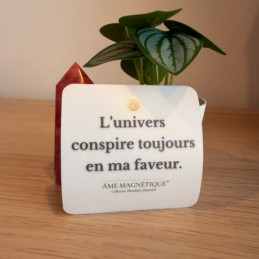 Aimant - "L'univers conspire toujours en ma faveur"