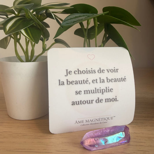 Aimant - "Je choisi de voir la beauté, et la beauté se multiplie autour de moi"