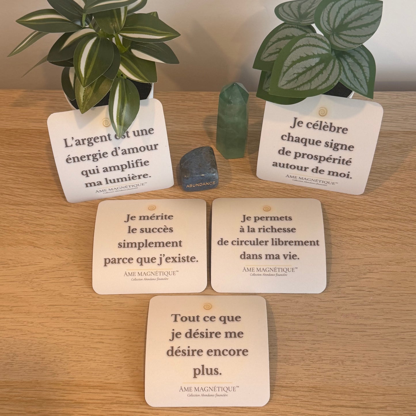 Pack Abondance Financière - Activation de prospérité et richesse (5 aimants)