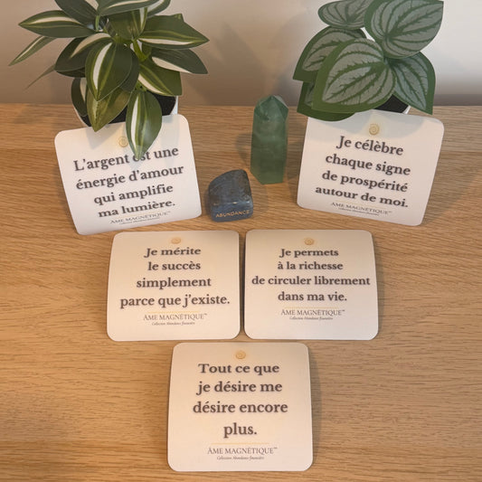 Pack Abondance Financière - Activation de prospérité et richesse (5 aimants)