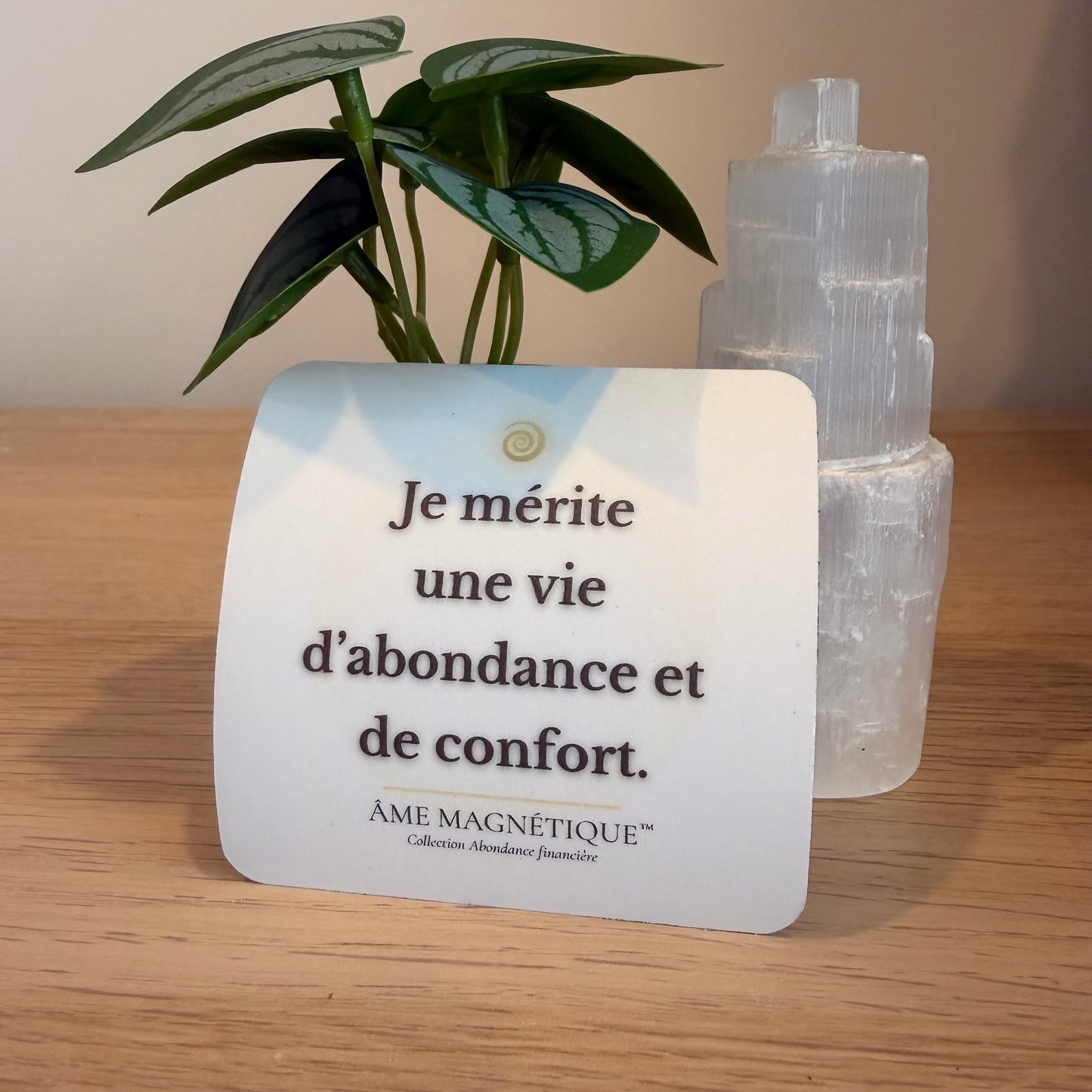 Aimant - "Je mérite une vie d'abondance et de confort"