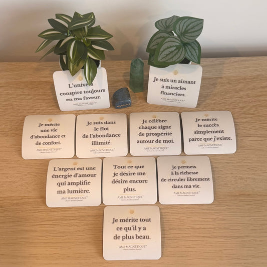 Pack Prospérité Suprême - 10 aimants d'Activation financière