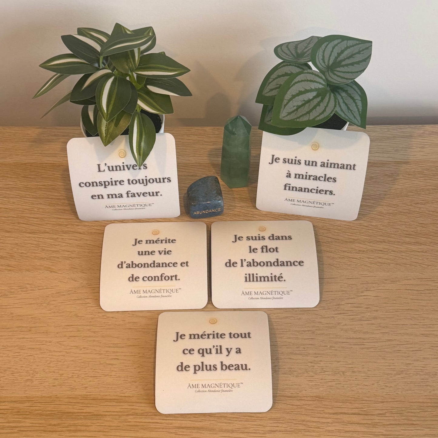 Pack Abondance Financière - Flow de Richesse & Succès (5 aimants)