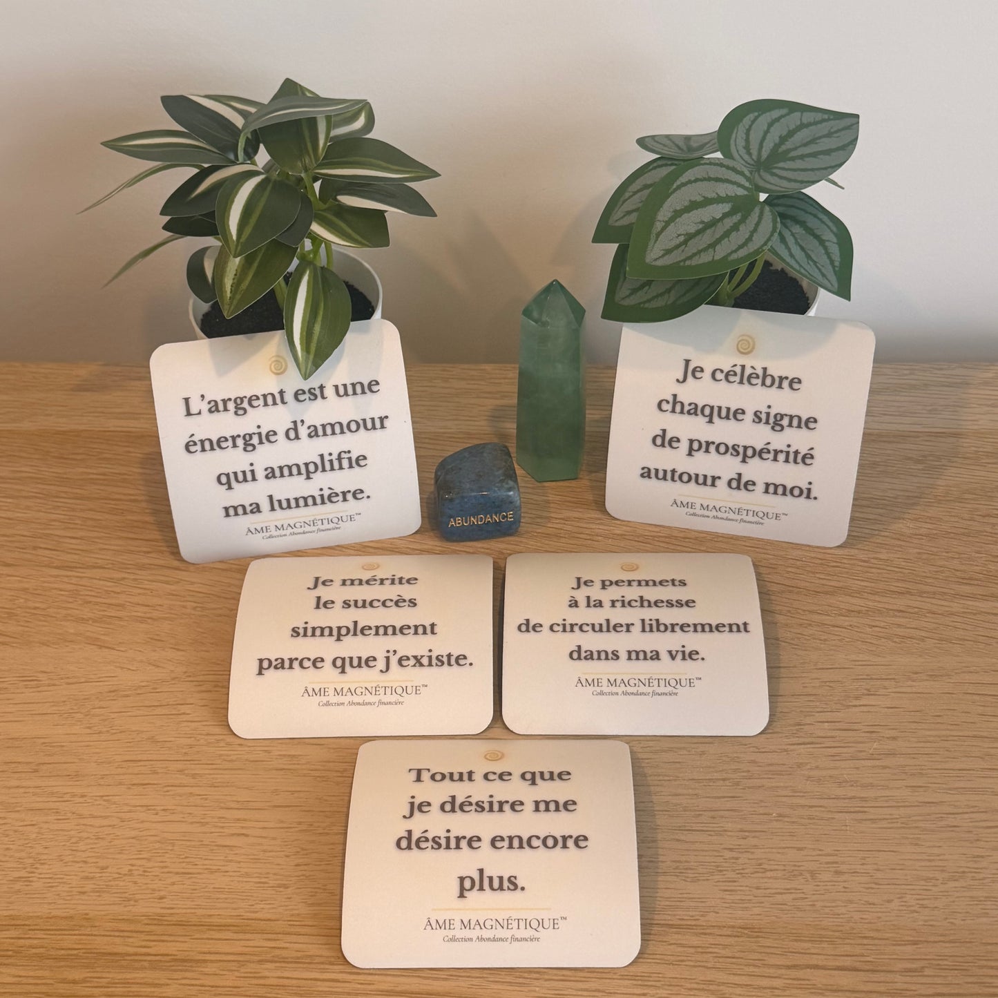 Pack Abondance Financière - Activation de prospérité et richesse (5 aimants)