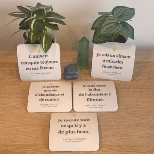 Pack Abondance Financière - Flow de Richesse & Succès (5 aimants)