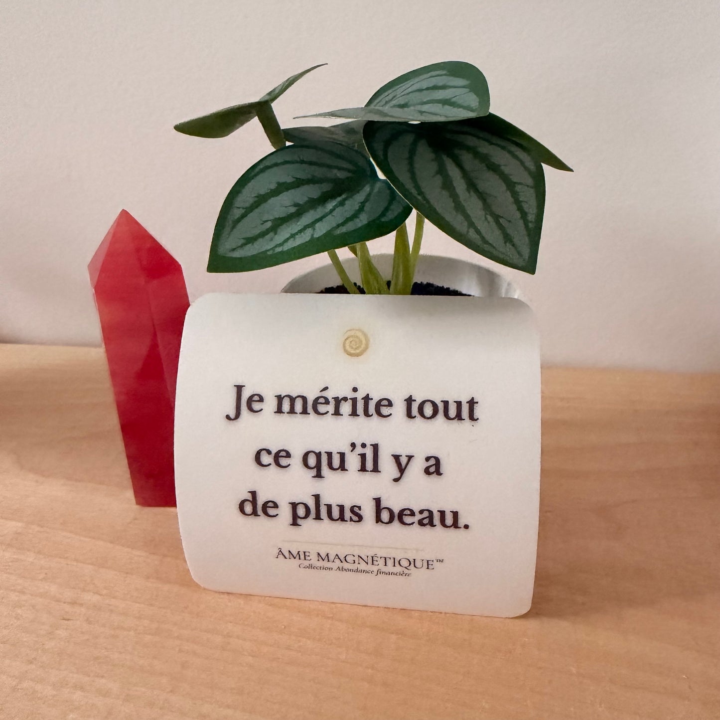 Aimant - "Je mérite tout ce qu'il y a de plus beau"