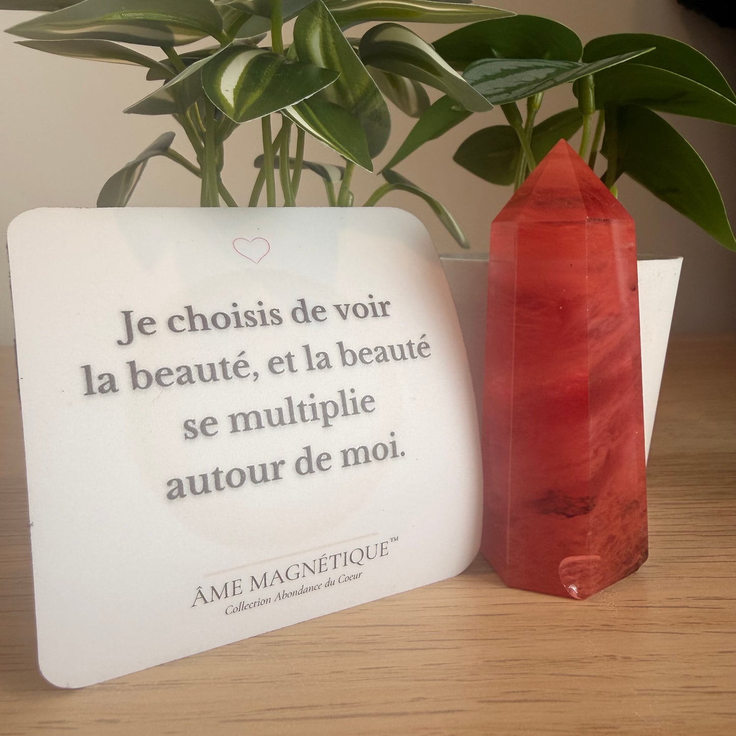 Aimant - "Je choisi de voir la beauté, et la beauté se multiplie autour de moi"