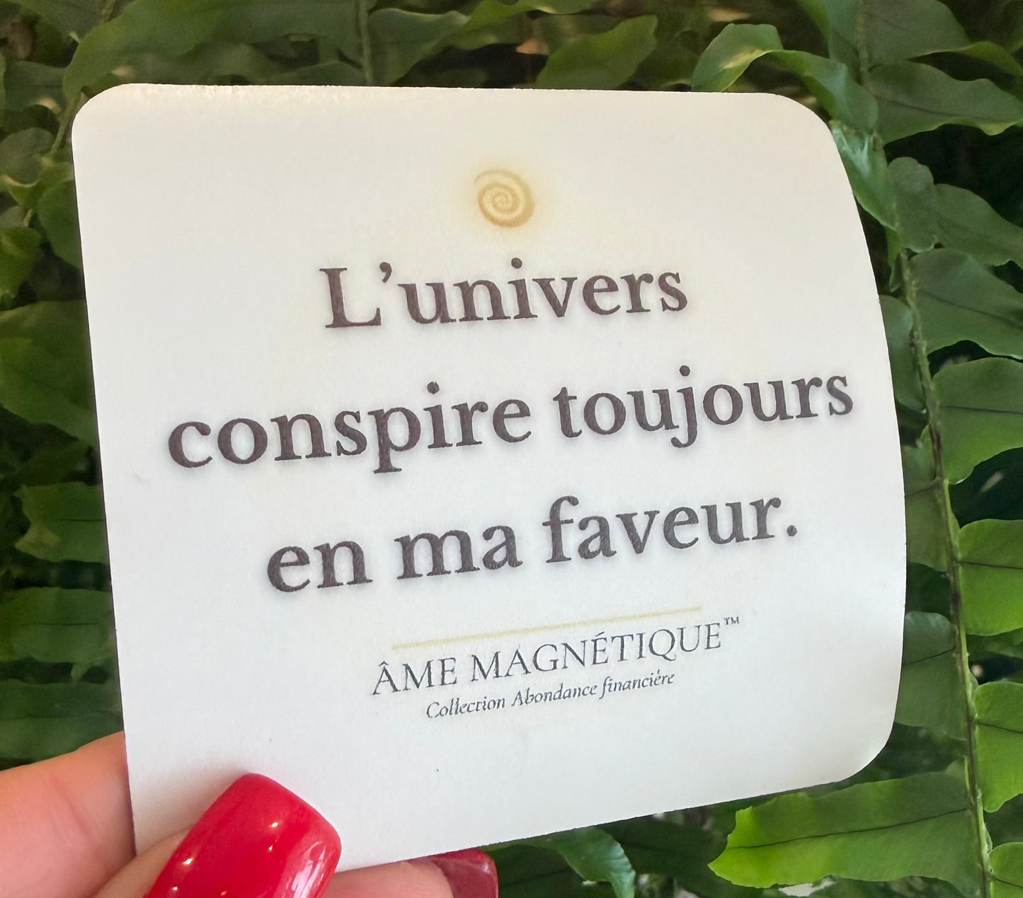 Aimant - "L'univers conspire toujours en ma faveur"