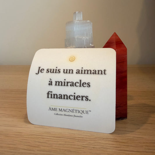 Aimant - "Je suis un aimant à miracles financiers"
