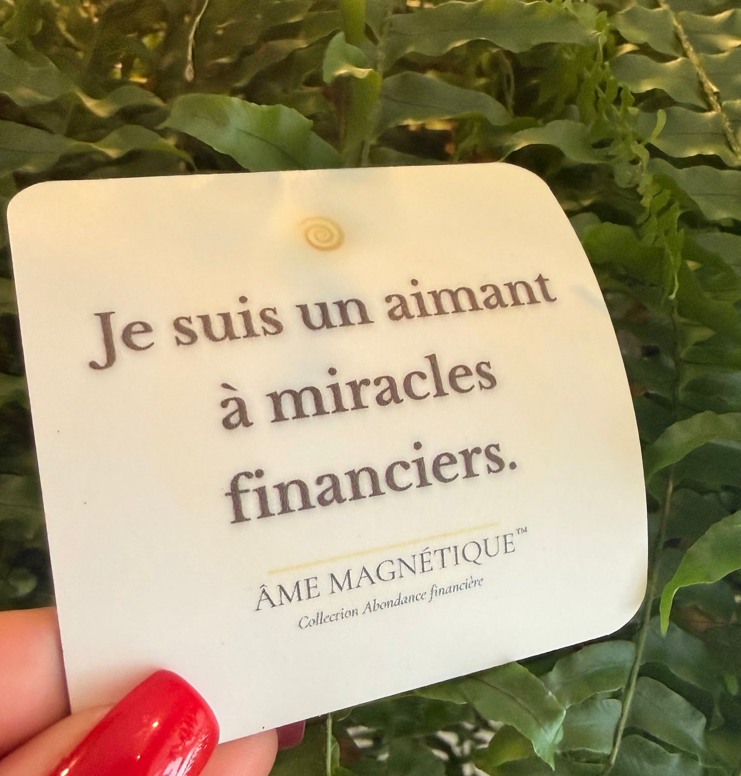 Aimant - "Je suis un aimant à miracles financiers"