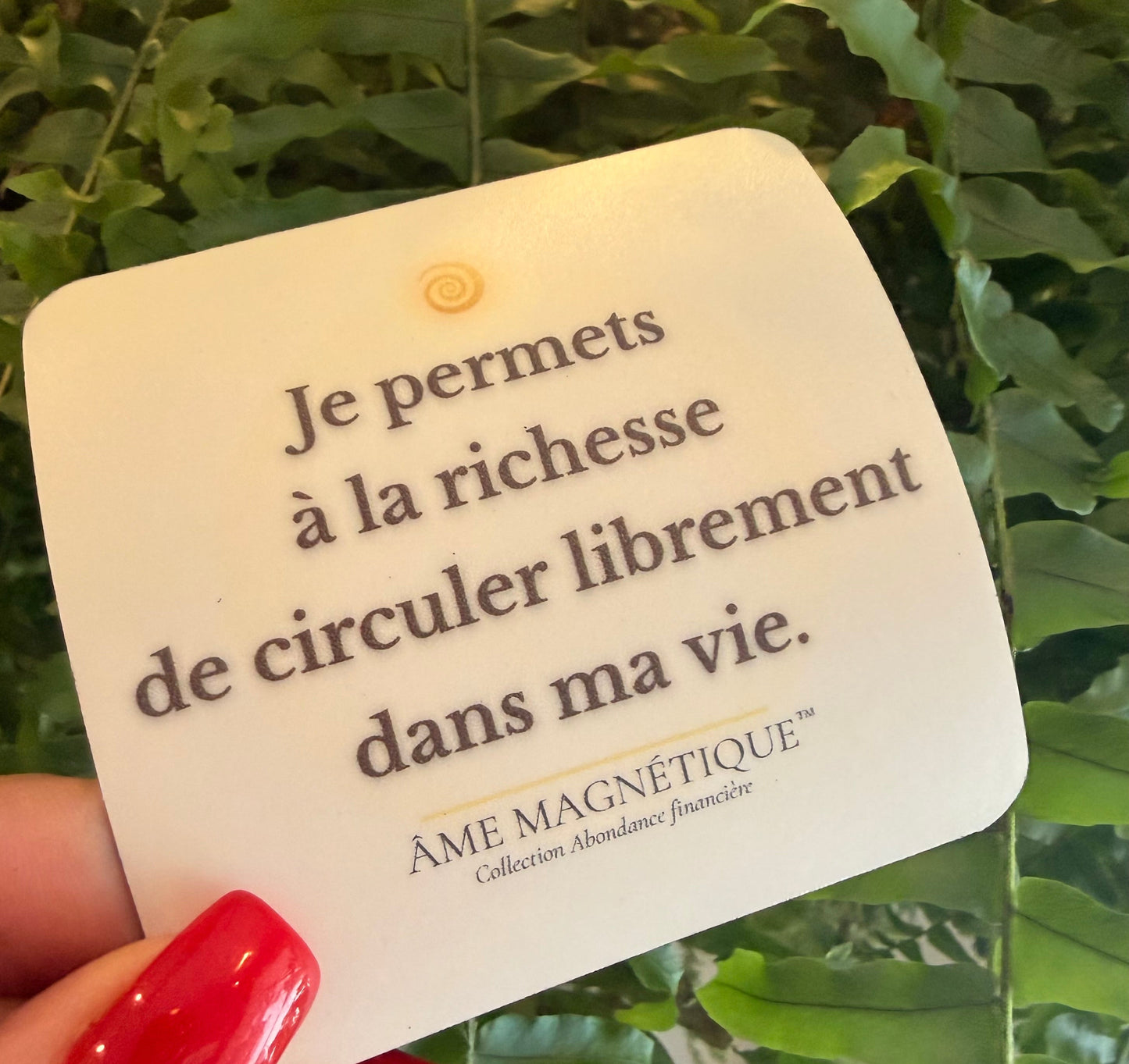 Aimant - "Je permets à la richesse de circuler librement dans ma vie"